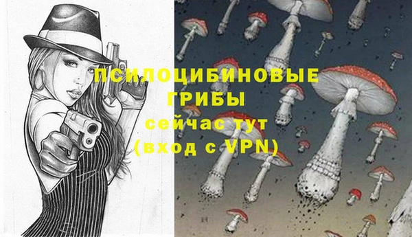 амф Алексеевка