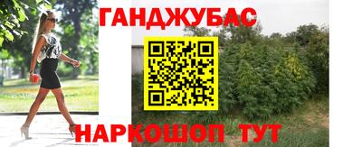 ECSTASY Гусь-Хрустальный