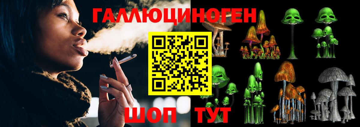 Энгельс  Галлюциногенные грибы прущие грибы  Вход с VPN 